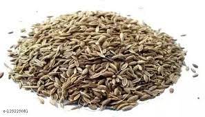 Fresh Dill Seeds